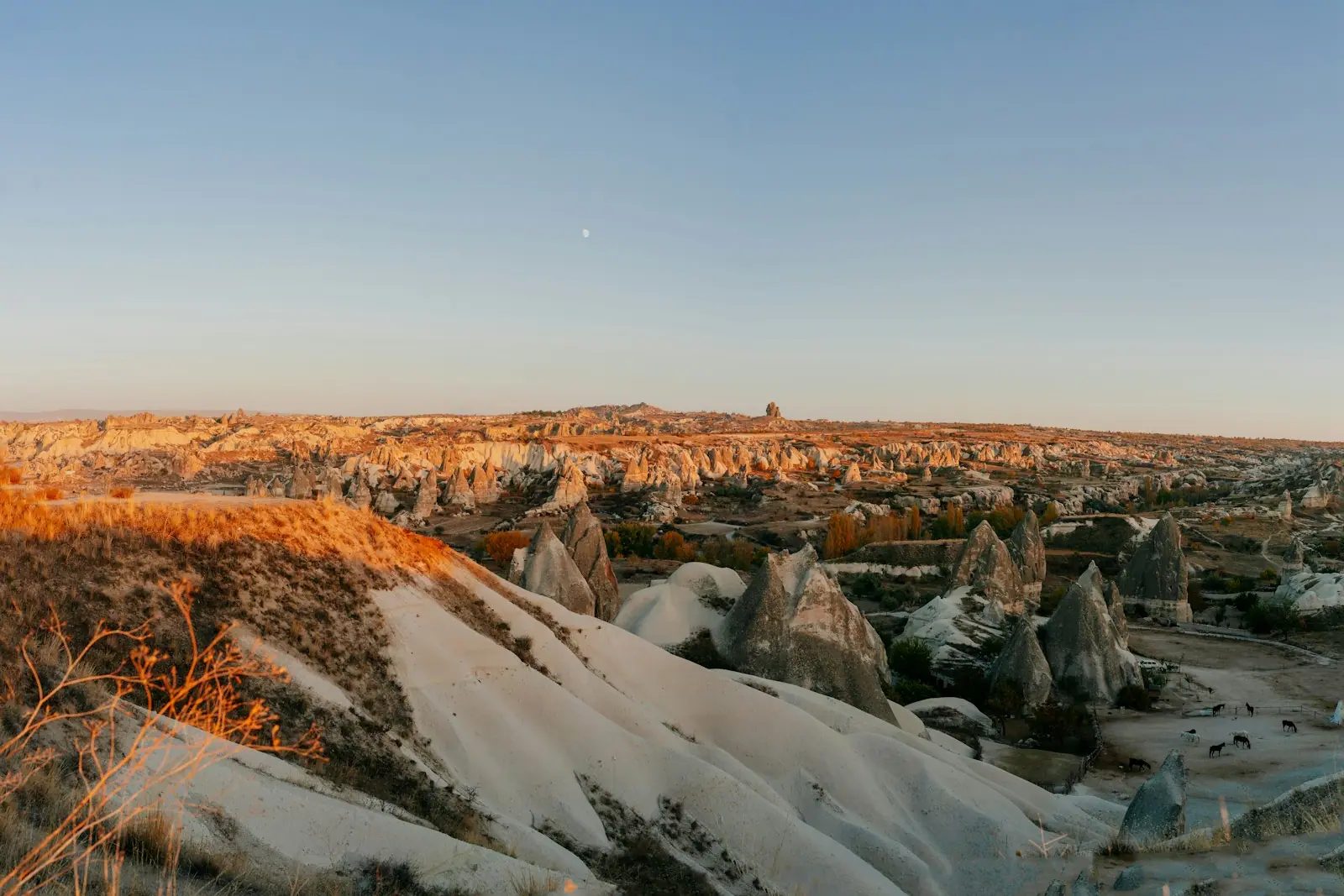 Göreme Panorama
