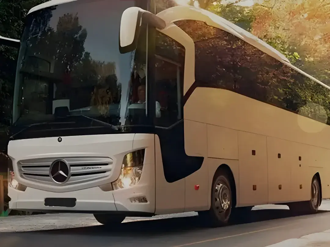 White Mercedes coach on a tree-lined road