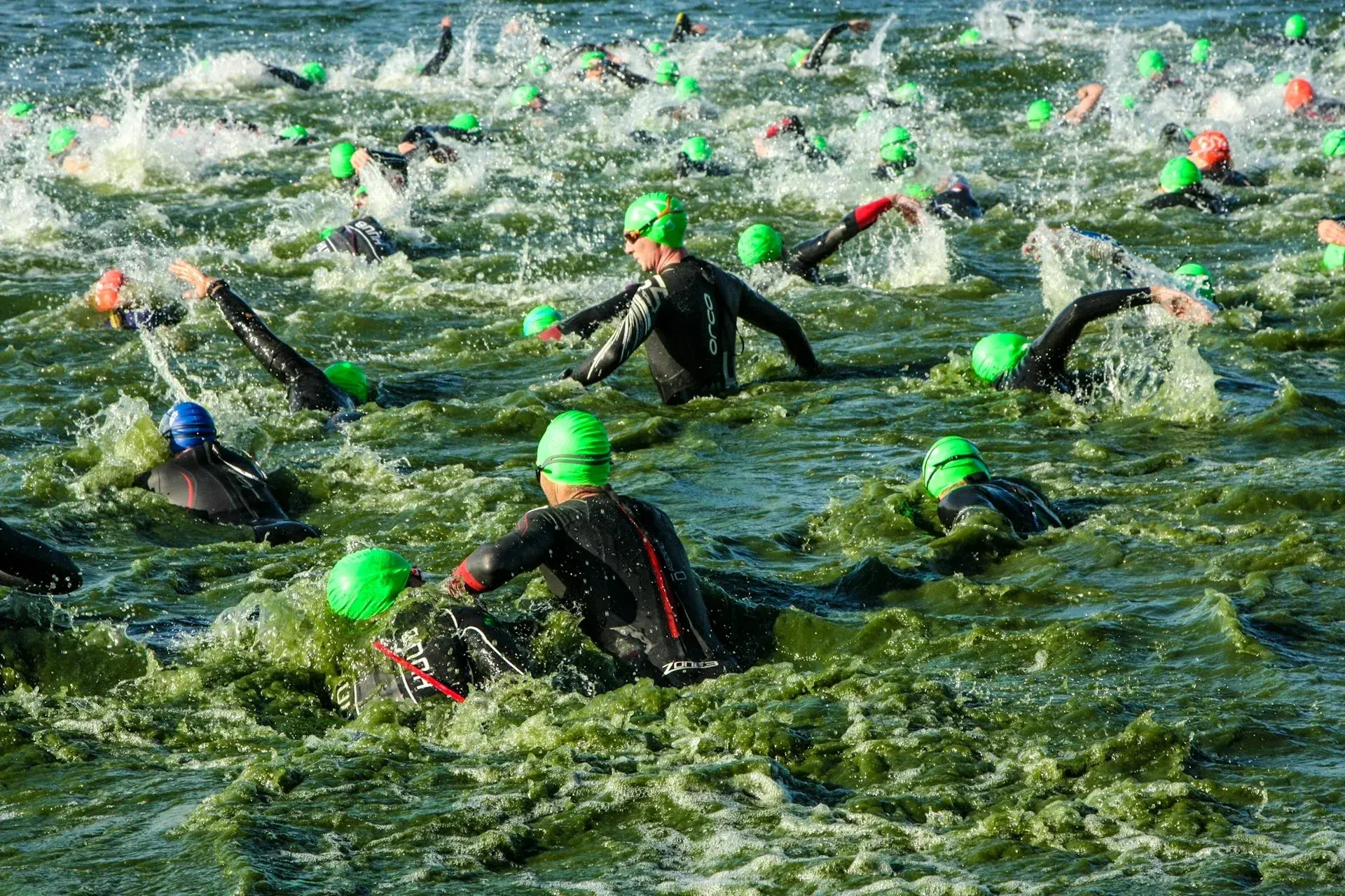 Bosphorus Cross-Continental Swim 2026 — Race, Route & Transfer Guide