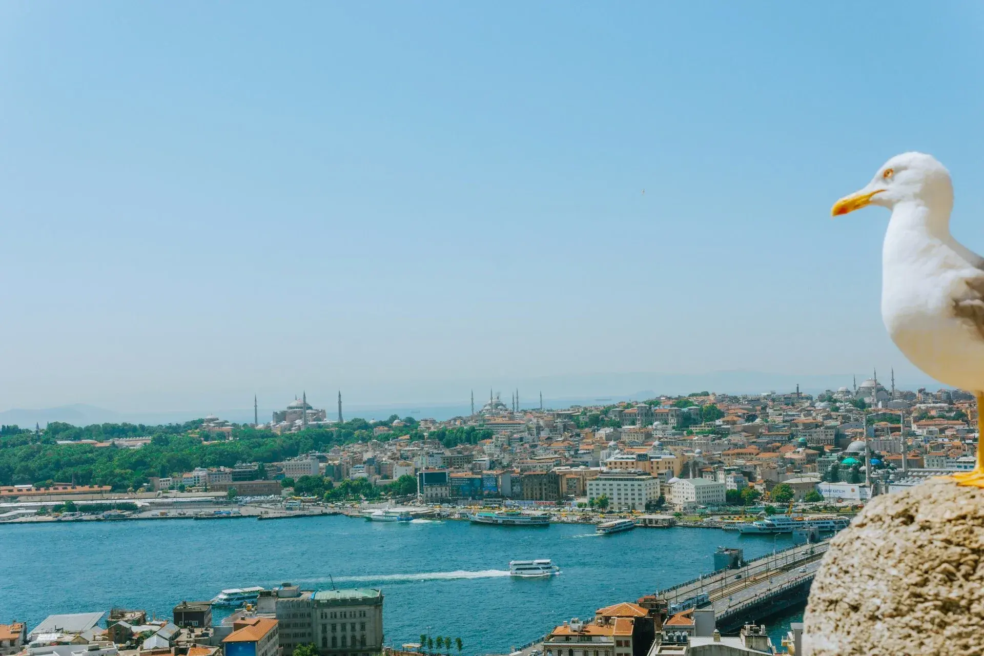 Istanbul Full-Day Private Tour 2026 — 8 Hours with an Expert Guide
