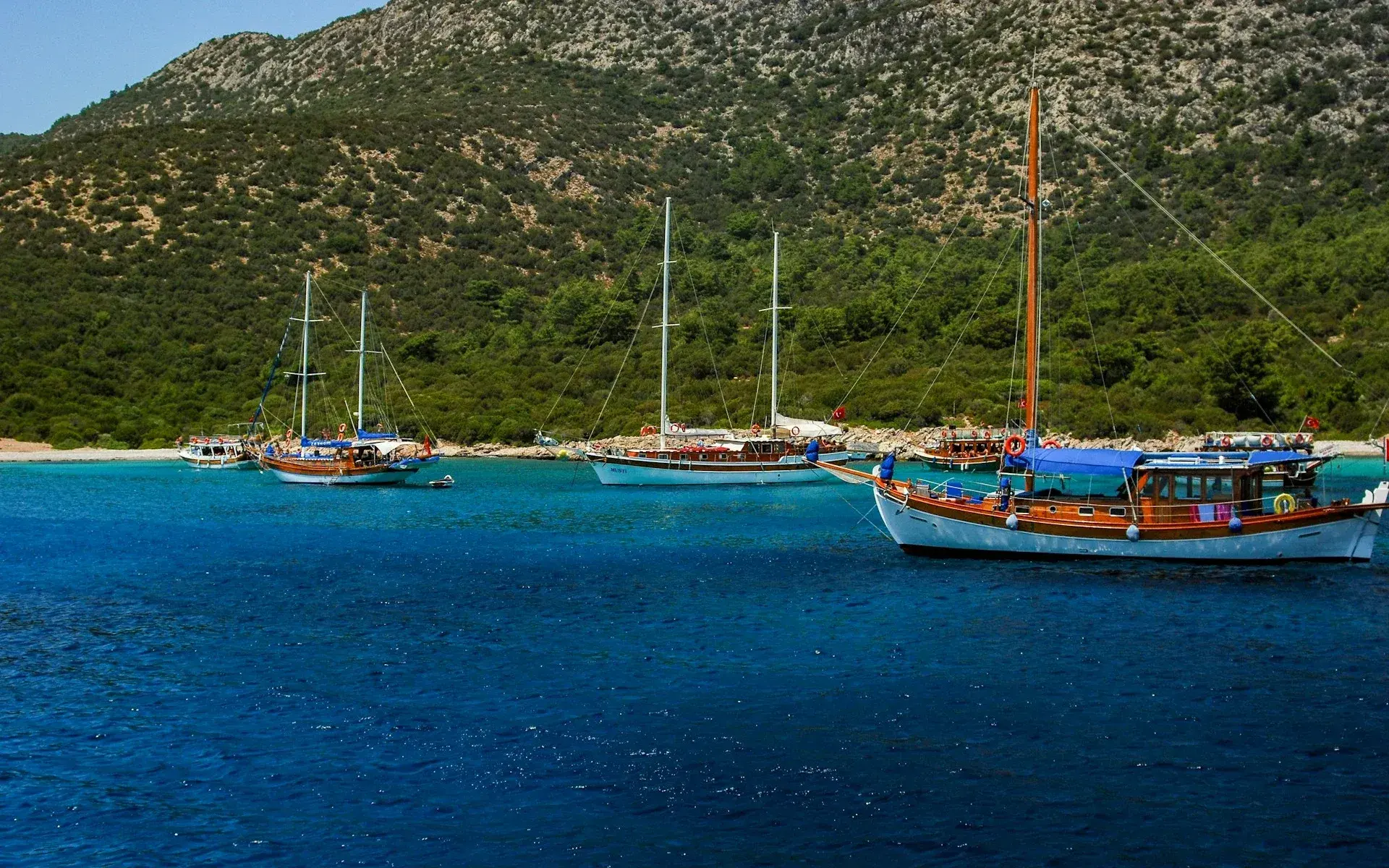Wooden gulets anchored in a green Bodrum bay
