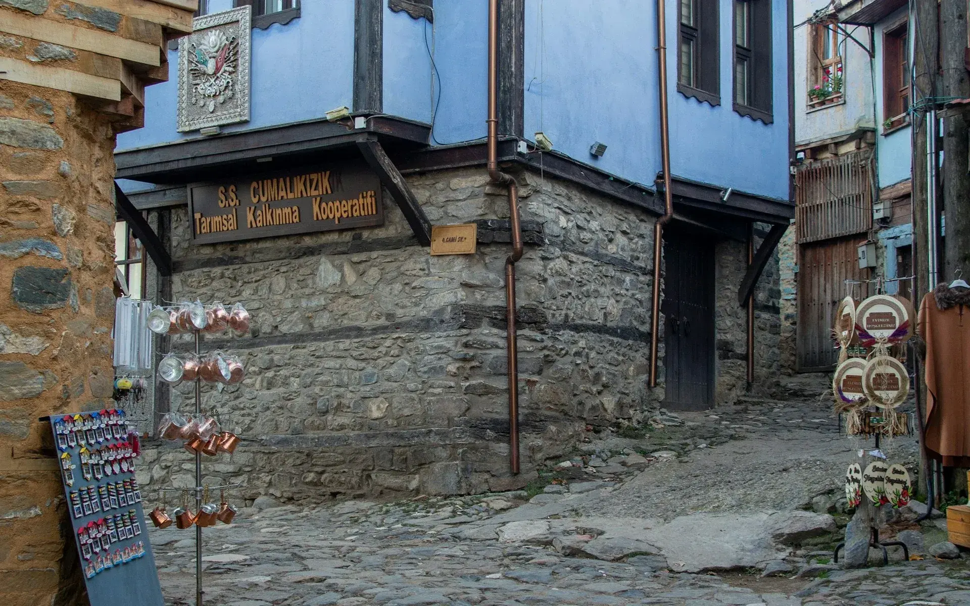 Maisons de pierre et de bois le long d'une ruelle pavée de Cumalıkızık