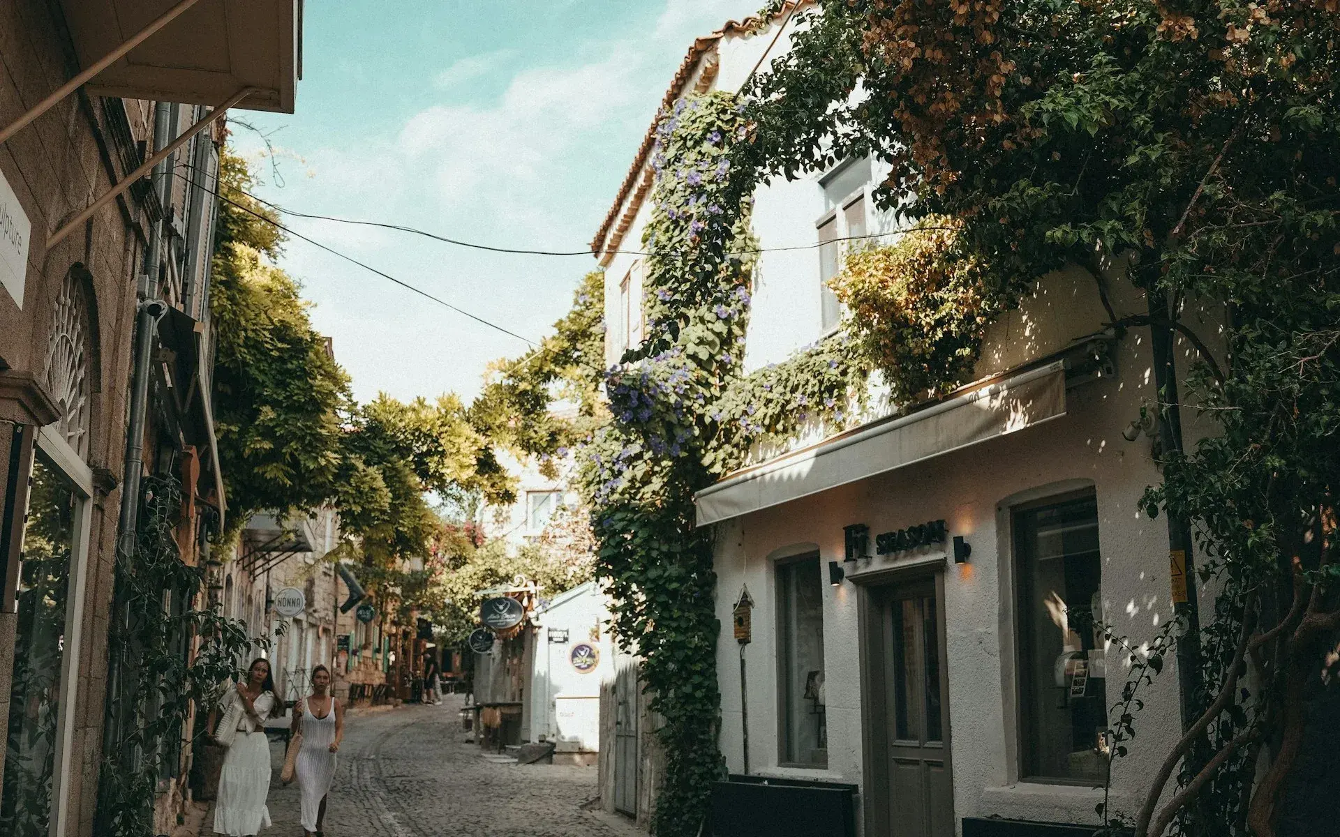 Ivy-covered stone houses on a lane in Alaçatı