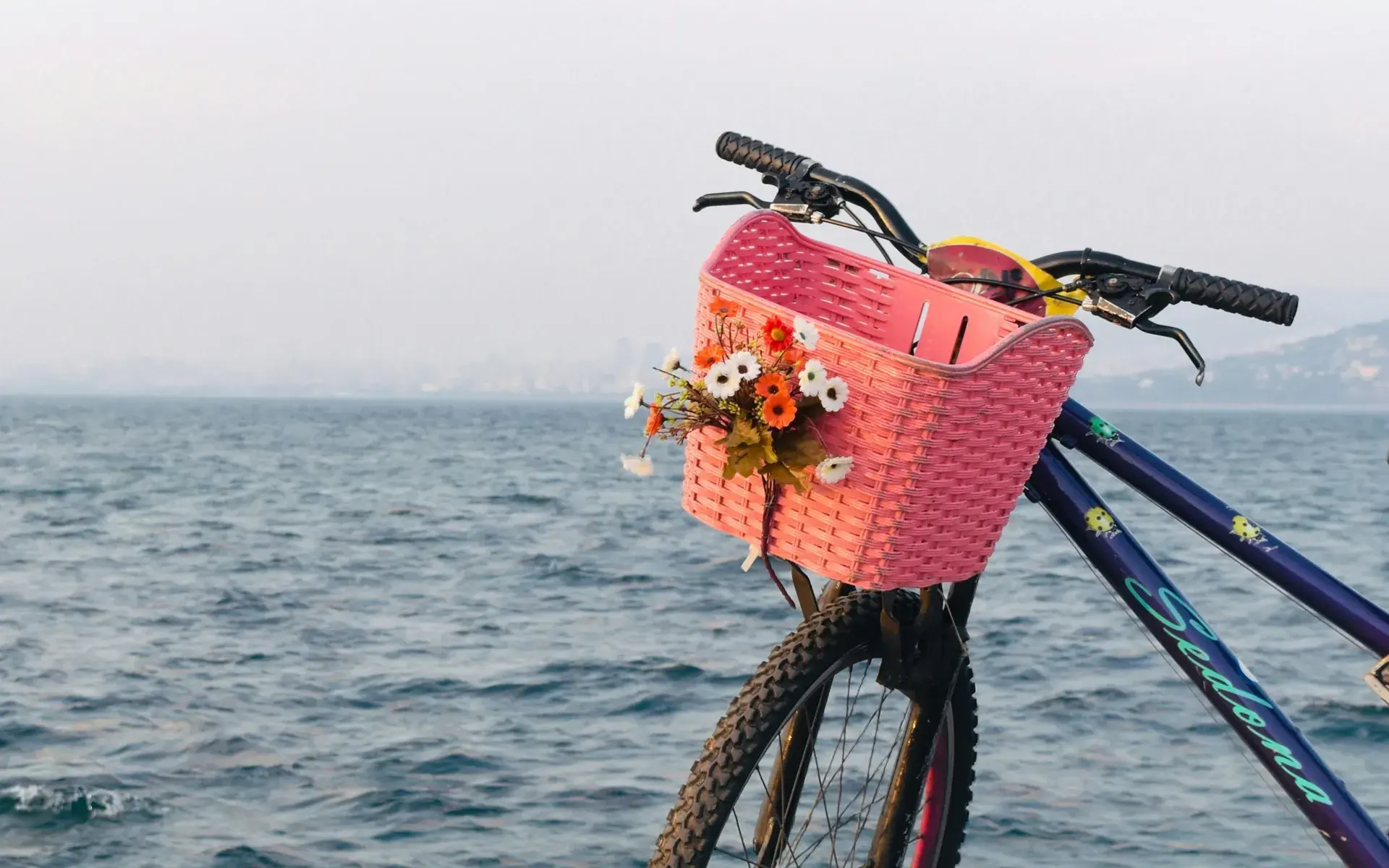 A bicycle with a flower-filled basket by the sea on Büyükada