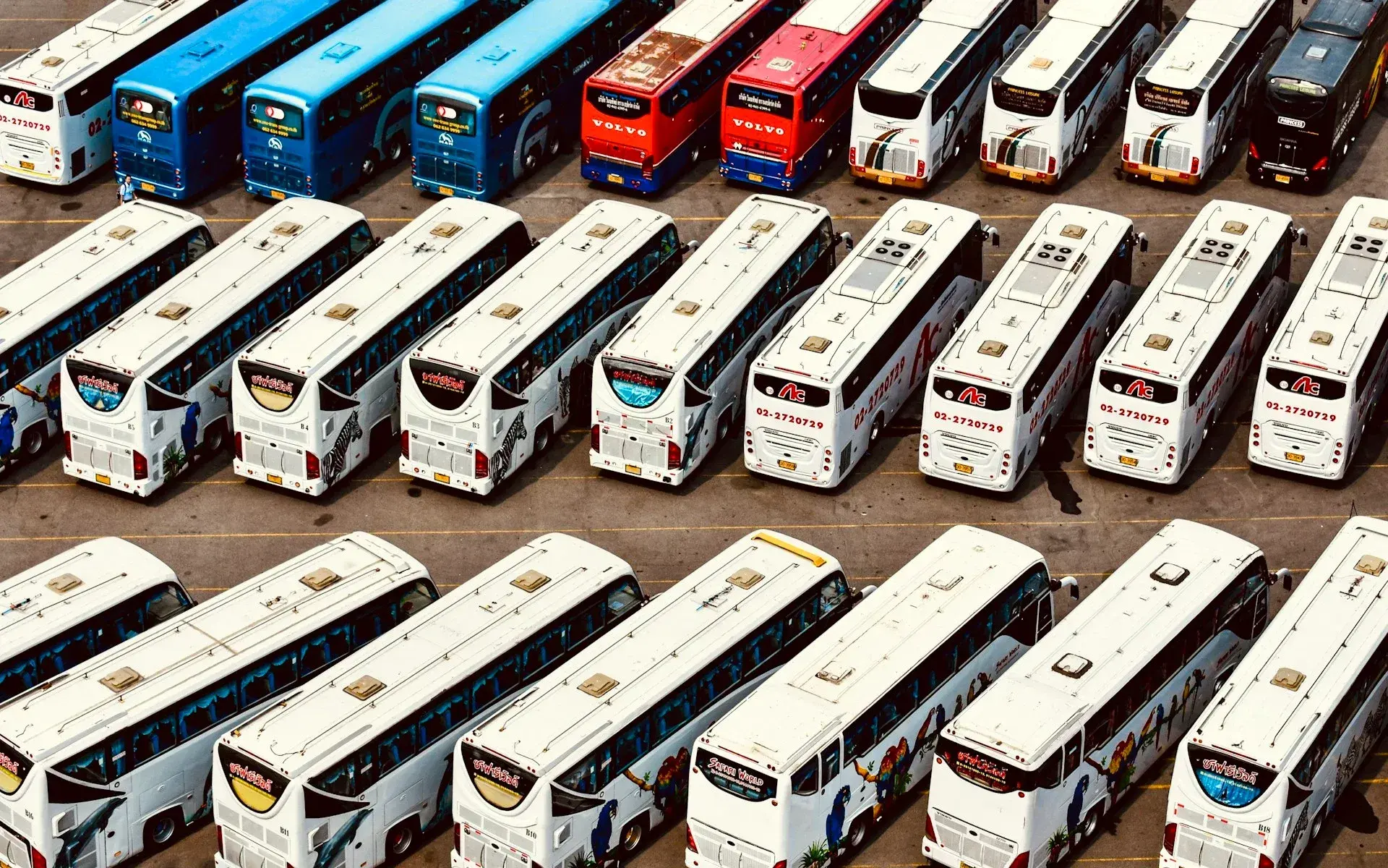 Rows of parked coaches seen from above